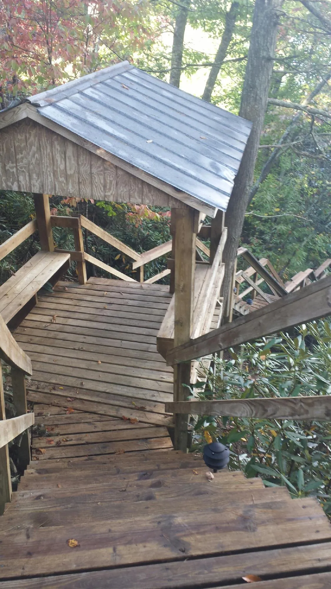 Metal roofed shelter over wooden steps on a wooded walkway in Somerset